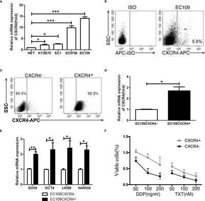 Corrigendum: Chloroquine Inhibits Stemness of Esophageal Squamous Cell Carcinoma Cells Through Targeting CXCR4-STAT3 Pathway